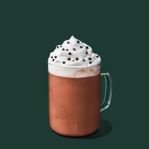 starbucks Peppermint Mocha